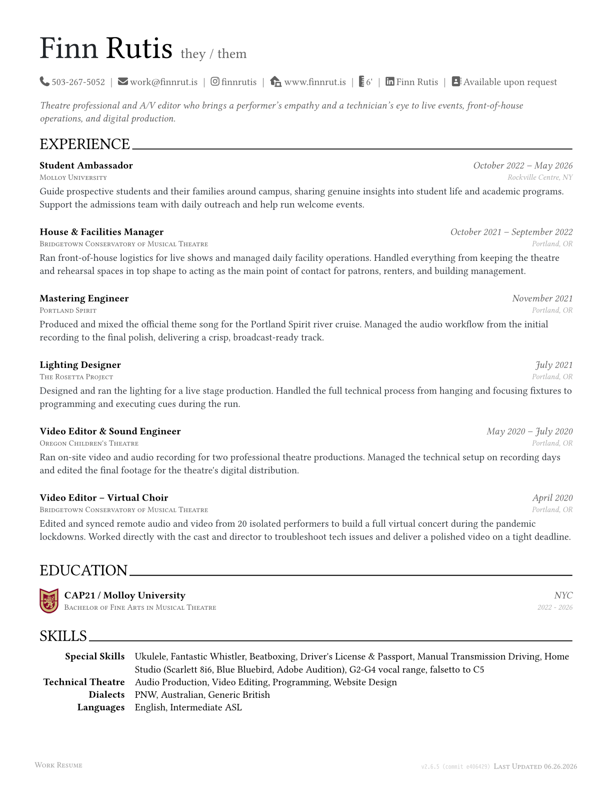 Work Resume preview